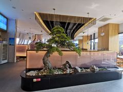 -马家斑.鲜鱼火锅(松湖万科店)