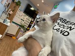 -瑞派·关忠动物医院·异宠专科·犬猫肿瘤·皮肤专科(望京店)