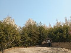 -燕郊植物园