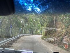 -海南热带雨林国家公园吊罗山景区