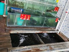 -洞密园美食城·二十二年老店(富华路店)