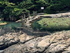 -桃花岛风景旅游区