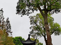 -东湖景区