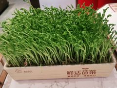 -捞神煲汤火锅(湖滨商业街店)