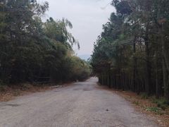 -南京市无想山景区