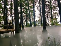 -东湖落雁景区
