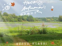 -白鹭湾湿地公园