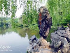 -西湖外事游船(花港观鱼码头)