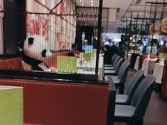 -眉州东坡·熊猫主题餐厅(枫蓝店)