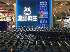 -盒马鲜生(和谐广场店)