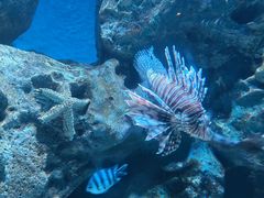 -海合安成都极地海洋公园
