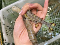 -龚记海鲜20年老字号