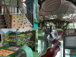 -恐龙探索乐园(磁器口店)