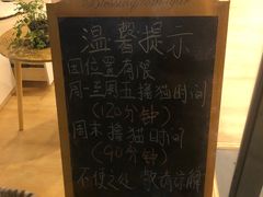 -猫咪派对(江南西店)