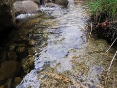 -黑龙潭风景区