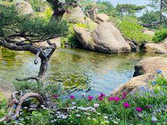 -罗红摄影艺术馆