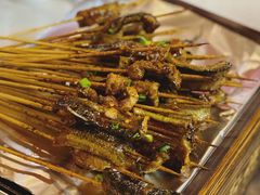 鳝鱼-晓靖轩烧烤(沙河风情店)