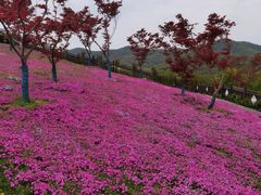 -石塘人家
