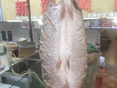 -新疆风味冷水鱼庄(友谊峰路店)