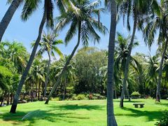 -三亚南山文化旅游区