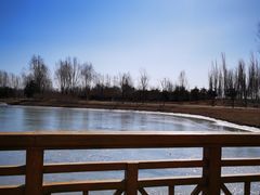 -东郊湿地公园