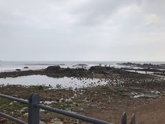 -如家精选酒店(青岛八大关太平角公园地铁站海水浴场店)