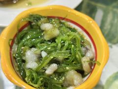 -四姑娘川味海鲜(八爪鱼店)