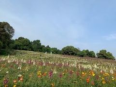 -保利石象湖景区