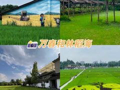 -老鼎万春卤菜(五代传承创始老店)