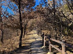 -北京十三陵国家森林公园蟒山景区