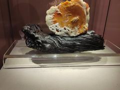 -福建省非物质文化遗产博览苑