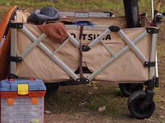 -贡湖湾湿地公园