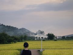 -风云岭森林公园