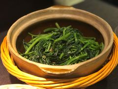 啫啫虾酱空心菜-熠盛粤味·顺德桑拿鸡(永康路店)