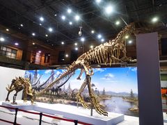 -国家自然博物馆