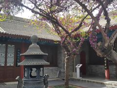 -万寿八仙宫