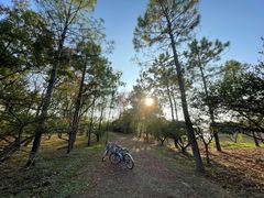 -上海海湾国家森林公园