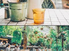 -The Grounds of Alexandria