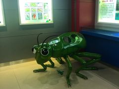 -上海昆虫博物馆