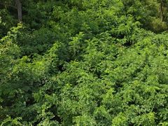 -南戴河国际娱乐中心