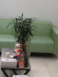-清颜堂丨分子祛痘·功效美肤