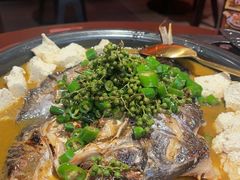 -探鱼·鲜青椒爽麻烤鱼(正佳广场店)