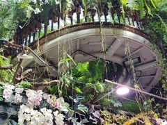 -正佳雨林生态植物园