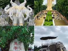-西双版纳原始森林公园