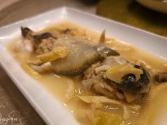 -孔庆璞河豚馆(白玉兰酒店)