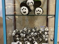 -成都明宇丽雅饭店