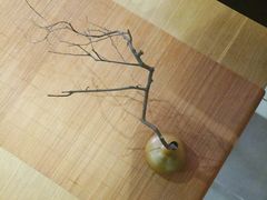 -柴务处·柴犬主题狗咖