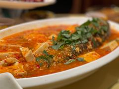 -陈麻婆豆腐(春熙店)