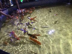 -烟台海昌鲸鲨海洋公园