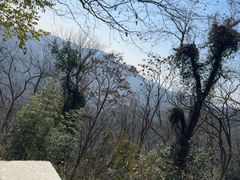 -灵顺寺